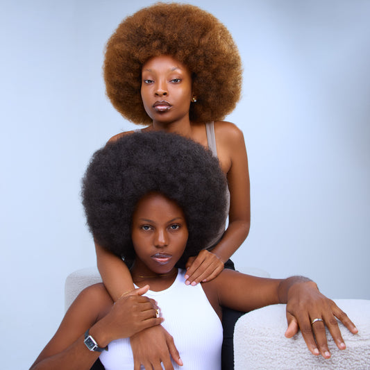 PERRUQUE  AFRO - LOOK NATUREL ET FIERTÉ ASSUMÉE